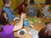 Vůně bylinek a čajů